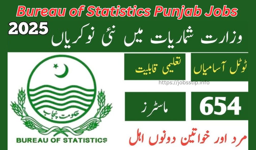 Bureau of Statistics Punjab Jobs