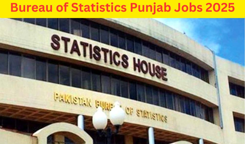 Bureau of Statistics Punjab Job