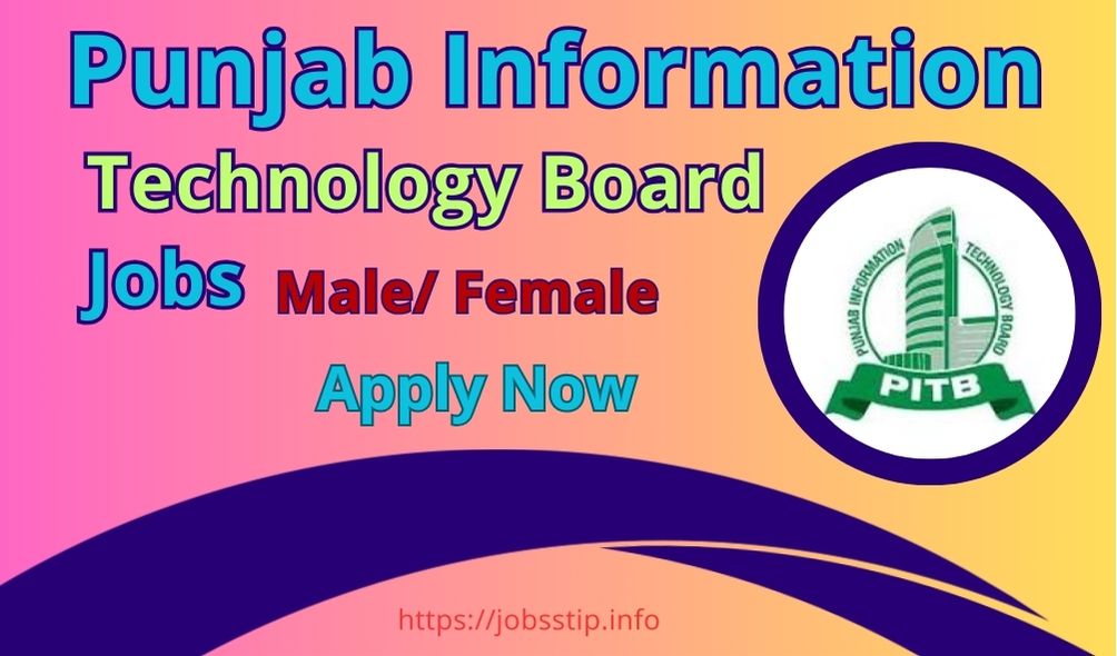 Punjab Information Technology Board Jobs