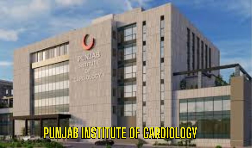 Punjab Institute of Cardiology Job