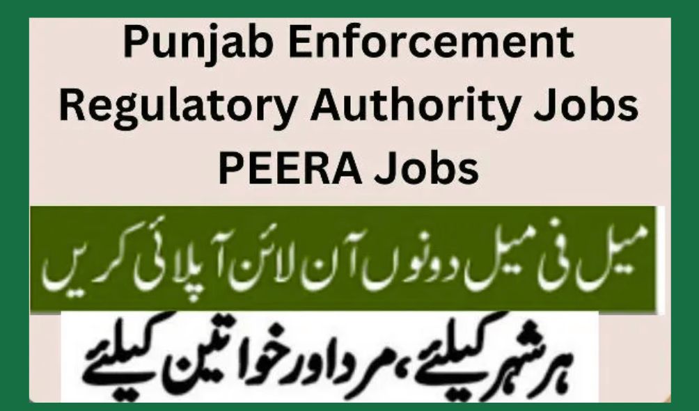 Punjab Enforcement Regulatory Authority Jobs