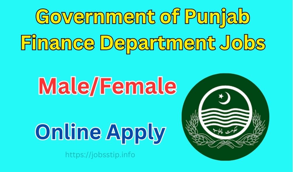 Government of Punjab Finance Department Jobs