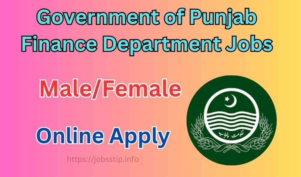 Government of Punjab Finance Department Job